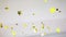 Gold confetti made from stars on white. Bright festive concept