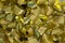Gold Confetti shiny background