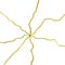 Gold cracks in web form, the kintsugi or craquelure illustration