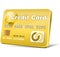 Gold credit card