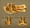 Gold crowns, vector icons