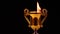 Gold cup fire flame dark background hd footage