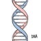 Gold Dna. Dna symbol. Dna helix symbol. Gene icon.