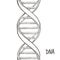 Gold Dna. Dna symbol. Dna helix symbol. Gene icon.