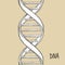 Gold Dna. Dna symbol. Dna helix symbol. Gene icon.