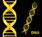 Gold Dna icon. Vector illustration on black background