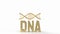 The Gold dna on white Background for sci or medical concept 3d rendering