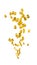 Gold dollar signs floating upward on a white background. Passive income stream generation concept. Making money graphic