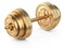 Gold dumbbell from coins. Business and sport - financial concept