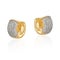 Gold earring with crystal zirconia and click closure