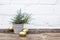 Gold Easter eggs and ceramic grey bucket with spring green grass on wooden table near white brick wall background. Copy space