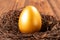 Gold egg on nest on wooden background