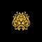 Gold face lion logo symbol with luxury hair