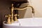 Gold faucet and washbasin design