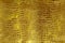 Gold faux python skin snakes, crocodile, trend, fashion, background