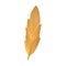 Gold feather of bird with elegant wavy lines and circle shape pattern