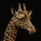 Gold Filigree Inlaid Giraffe (Generative AI)