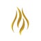gold fire flames logo vector design icons elements