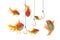 Gold fish and empty hooks