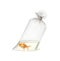 Gold fish in plastic package