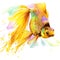 Gold fish T-shirt graphics, gold fish illustration with splash watercolor textured background.