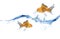 Gold fishes jumping over slash blue water.