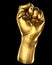 Gold fist