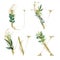 Gold Floral Alphabet Set - letters U, V, W, X with green botanic branch bouquet composition. Unique collection for wedding invites