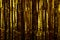 Gold Foil strip Curtain hanging on wall studio