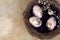 Gold foiled painted easter eggs in a nest, decorated with a cherry blossom branch. Top view, copy space for text