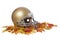 Gold football helmet on fall leaves isolated