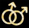 Gold gays couple symbol