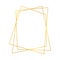 Gold geometric polygonal frame with shining effects isolated on white background. Empty glowin