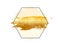 Gold glitter foil brush stroke vector. Golden paint smear with hexagon border frame isolated on white. Glow metal