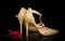 Gold glitter shoe with red rose on black background