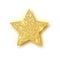 Gold glitter vector star. Golden sparkle luxury design element. Vector particles.