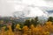 Gold and green trees covered by low cloud cover.