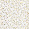 Gold and grey dots network seamless pattern.