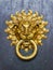 Gold handle and knocker with lion