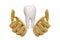 Gold hands keeping holding or protecting tooth,3D illustration.