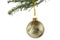Gold holly bauble on white