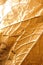 Gold Holographic Foil Leaf and Leaves with Veins Texture Shiny Pattern