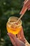 Gold honey with a special spoon in a jar on the background of nature