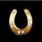 Gold horseshoe icon vector