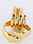 gold jewelry jewellery ornaments