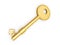 Gold key with house profile