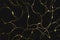 Gold kintsugi on black background. Crack and broken effects. Marble texture. Luxury design for wall art, wallpaper