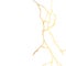 Gold kintsugi crack vector card on white background. Golden texture.