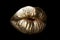 Gold kiss. Womans golden kissing lips, close up isolated background. Isolated gold mouth.