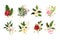 Gold leaves green tropical branch plants with red pink rose flowers wedding bouquet